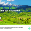 carton verde