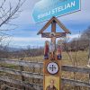 centru autism sf stelian