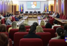 consiliu judetean