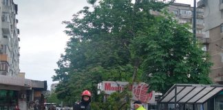 Vijelia a produs probleme în Focșani: acoperiș desprins și copaci rupți / Mașini și imobile avariate