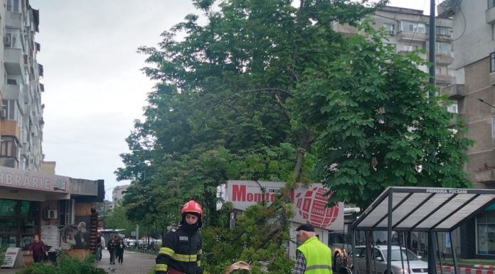 Vijelia a produs probleme în Focșani: acoperiș desprins și copaci rupți / Mașini și imobile avariate