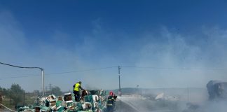 Ard 4 tone de deșeuri de carton la Adjud