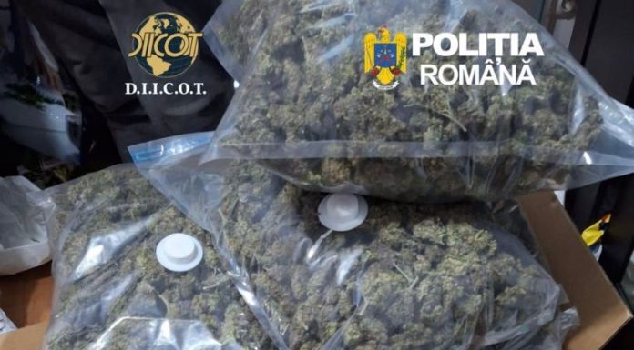 Zeci de kilograme de canabis, trimise în țară cu firme de curierat