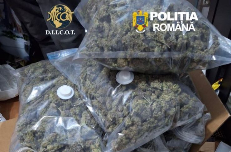 Zeci de kilograme de canabis, trimise în țară cu firme de curierat