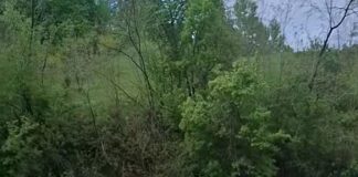 Alertă de inundații în bazinele Putna și Rm. Sărat
