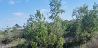 Tragedie în Suraia: un copil a murit înecat