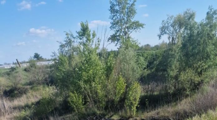 Tragedie în Suraia: un copil a murit înecat