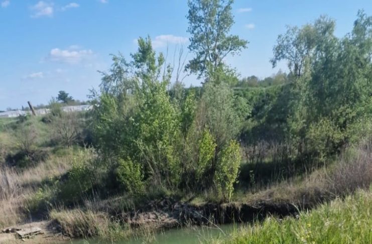 Tragedie în Suraia: un copil a murit înecat