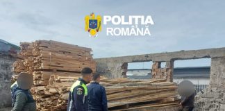 Garda Forestieră Focșani, controale în județul Galați: confiscări de lemne și amenzi la regimul silvic
