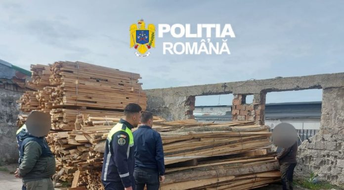 Garda Forestieră Focșani, controale în județul Galați: confiscări de lemne și amenzi la regimul silvic