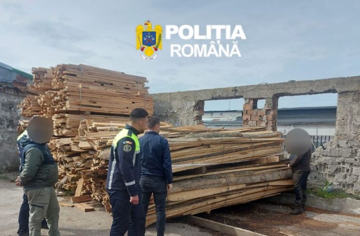 Garda Forestieră Focșani, controale în județul Galați: confiscări de lemne și amenzi la regimul silvic