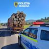 lemne politie