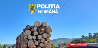 Controale în sectorul silvic, în această săptămână: amenzi și confiscări de lemne