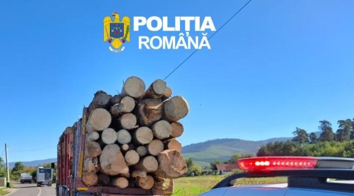 Controale în sectorul silvic, în această săptămână: amenzi și confiscări de lemne