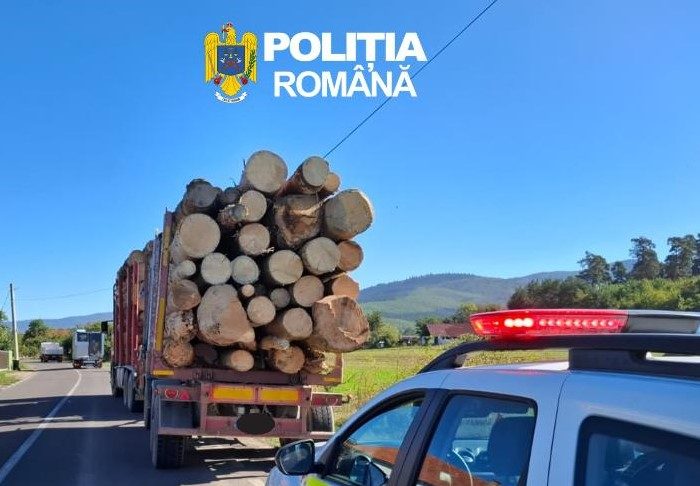 Controale în sectorul silvic, în această săptămână: amenzi și confiscări de lemne