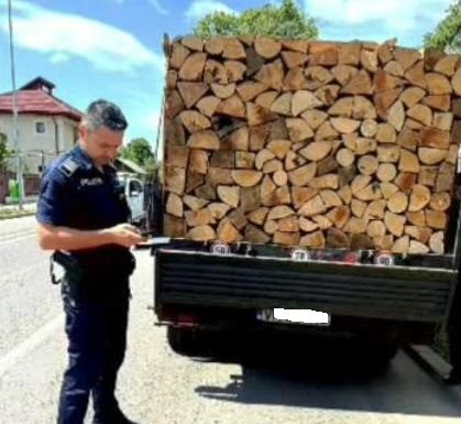 Vrâncean sancționat la Tecuci pentru că transporta lemne cu avizul de însoțire expirat