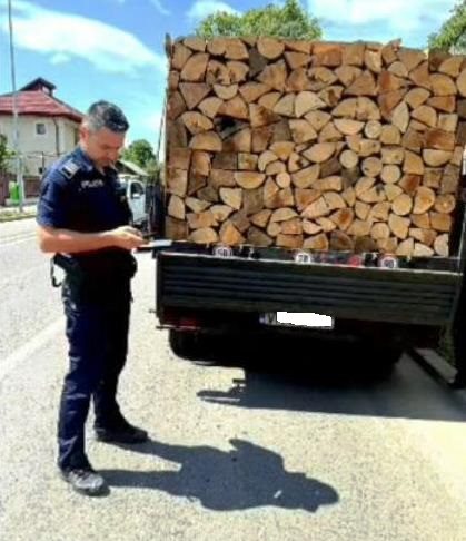Vrâncean sancționat la Tecuci pentru că transporta lemne cu avizul de însoțire expirat