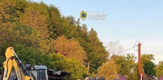 Controale în sectorul silvic: amenzi și confiscări de lemne