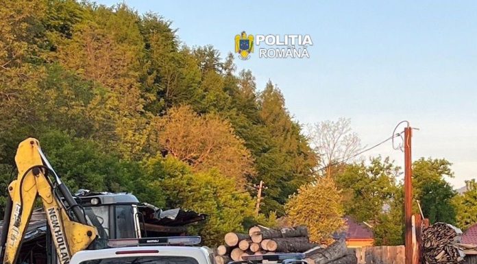 Controale în sectorul silvic: amenzi și confiscări de lemne