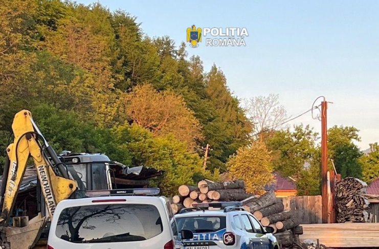 Controale în sectorul silvic: amenzi și confiscări de lemne