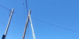 FOTO-VIDEO O pisică norocoasă: blocată la înălțime, pe un stâlp, a fost salvată de pompieri