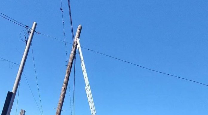 FOTO-VIDEO O pisică norocoasă: blocată la înălțime, pe un stâlp, a fost salvată de pompieri