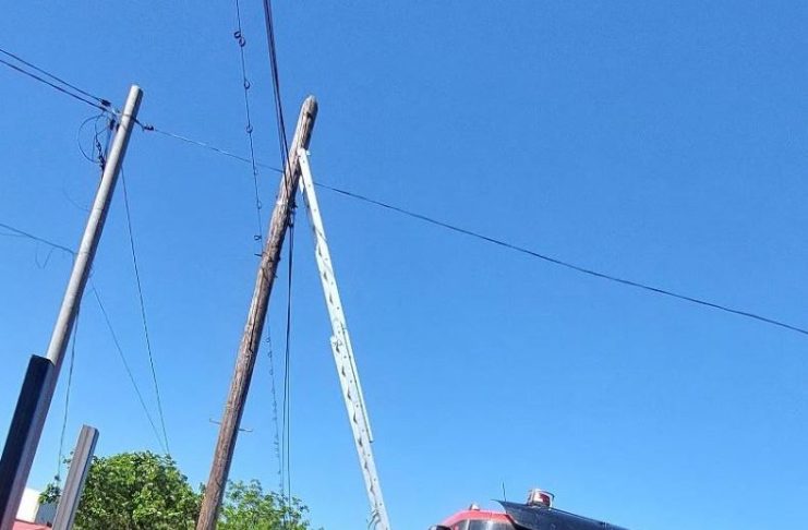 FOTO-VIDEO O pisică norocoasă: blocată la înălțime, pe un stâlp, a fost salvată de pompieri