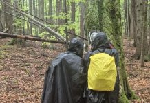 FOTO Traseu montan nou în zona Vintileasca salvamont vintileasca