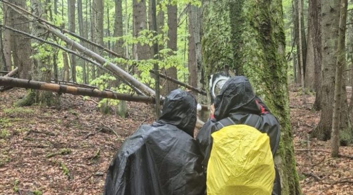 FOTO Traseu montan nou în zona Vintileasca