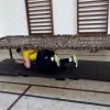 sport militari 1