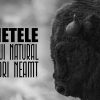 Video Thumbnail: SUNETELE PARCULUI NATURAL VÂNĂTORI NEAMȚ | Documentar | 2026