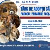 targ adoptii