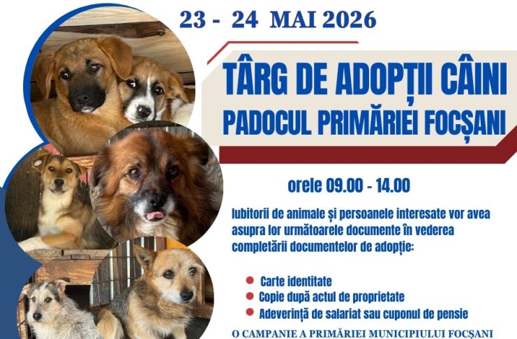 Târg de adopții câini, în weekend, la padocul din Golești