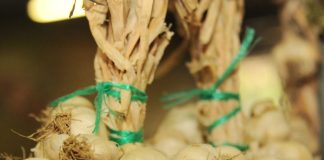 Sprijin guvernamental pentru cultivatorii de usturoi și în acest an