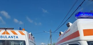 O mașină a izbit copacii de pe marginea drumului / 5 răniți, printre care 2 copii