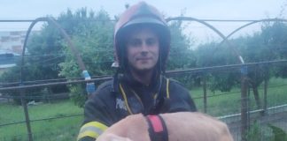 Capră salvată de pompieri dintr-o fântână adâncă de 10 metri