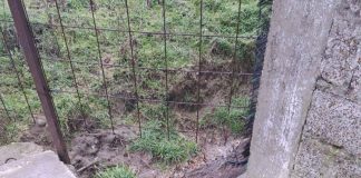 Amenzi pentru cei care au deversat ape uzate pe sol / Avertismentul Gărzii de Mediu
