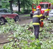FOTO Ploaia torențială căzută în Focșani încă le de furcă pompierilor 2 copac rupt 1