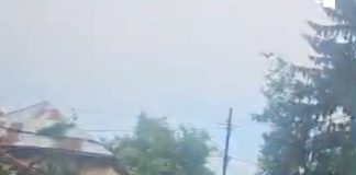 VIDEO Furtuna a doborât 3 copaci în curtea Spitalului Vidra