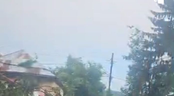VIDEO Furtuna a doborât 3 copaci în curtea Spitalului Vidra