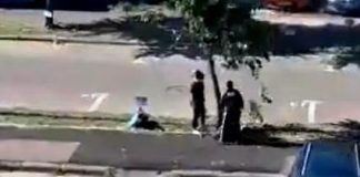 VIDEO Dar cu teii ce-ați avut? Persoane filmate în timp ce vandalizau teii din Focșani