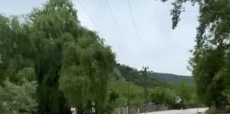 VIDEO Natură dezlănțuită și la Dumitrești