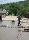 VIDEO Natură dezlănțuită și la Dumitrești 1 inundatii 3