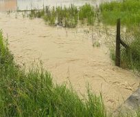 Pompierii intervin și astăzi în urma ploilor torențiale de sâmbătă / 12 persoane evacuate dintr-o locuință inundată 1 inundatii 5