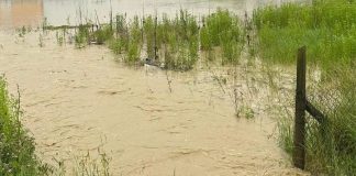 Bogza: 80 de persoane evacuate azi noapte s-au întors acasă / Nivelul apei, în scădere