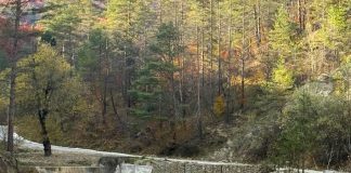 FOTO Lucrări de corectare a torenților în zona Andreiașu de Jos, cu fonduri PNRR