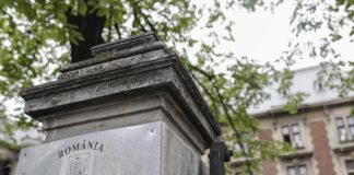 Ministerul Agriculturii: verificări după ce Fiscul a găsit fructe și legume din Turcia vândute cu etichete românești