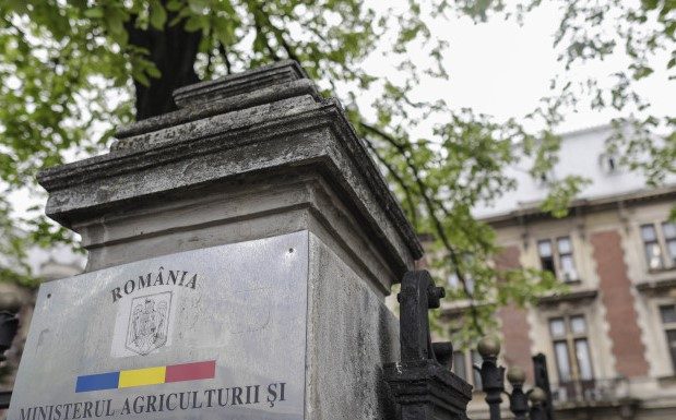 Ministerul Agriculturii: verificări după ce Fiscul a găsit fructe și legume din Turcia vândute cu etichete românești