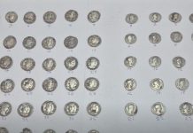 VIDEO Descoperire arheologică la Poiana Cristei monede poiana cristei