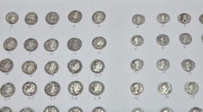 VIDEO Descoperire arheologică la Poiana Cristei